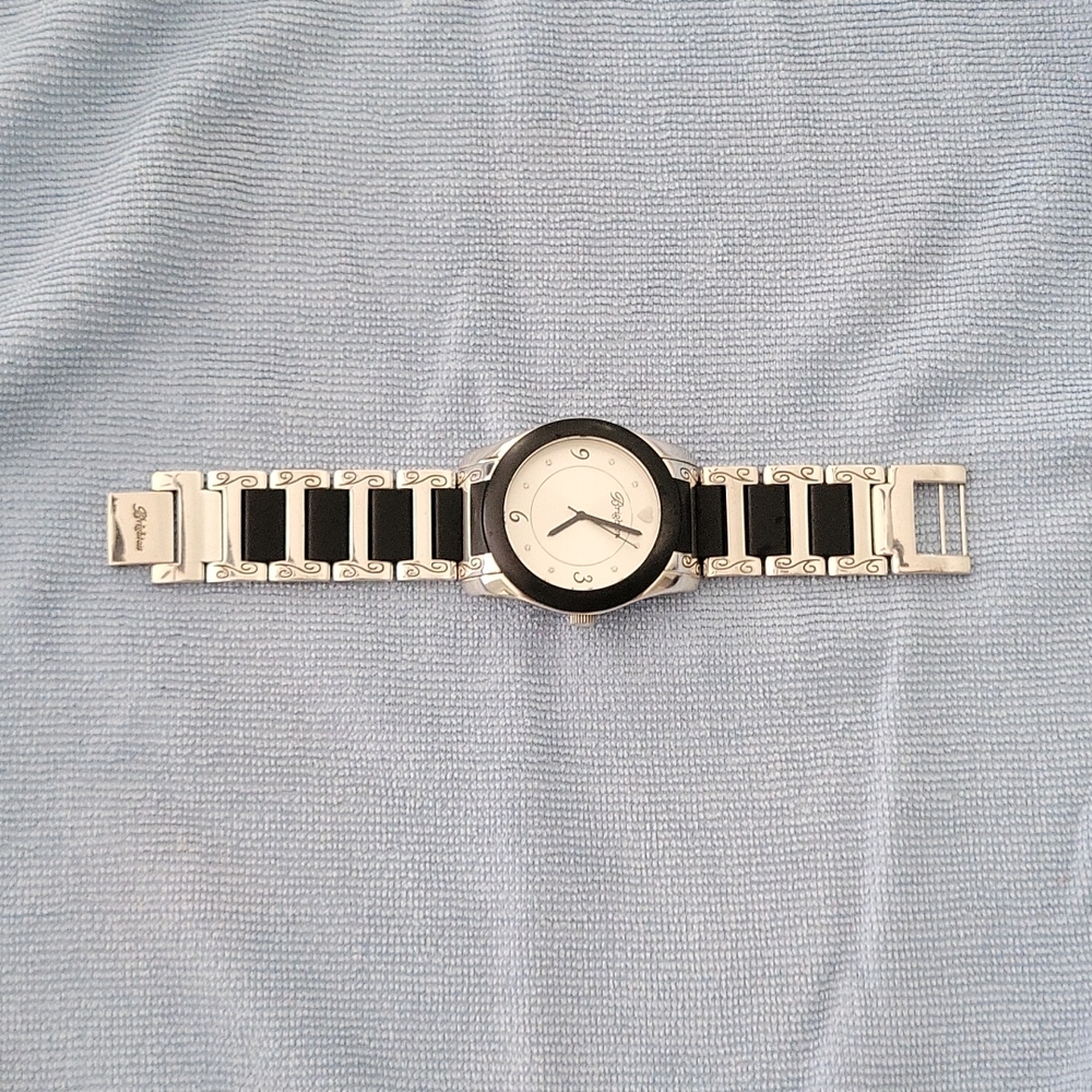 Brighton watch